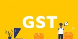 GST Software