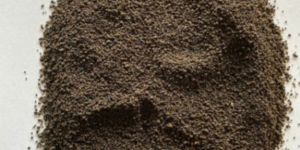 Darjeeling Green Tea