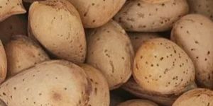 Organic Kashmiri Almonds