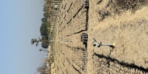 Sprinkler Irrigation System