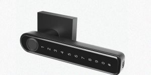Fingerprint Passcode Handle Door Lock (Black)