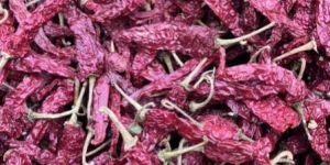 Syngenta Byadgi Red Chilli