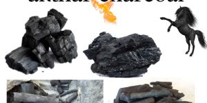 Wood Charcoal