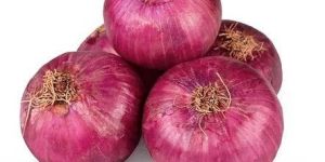 a Grade Pink Onion