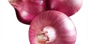 Fresh Pink Onion
