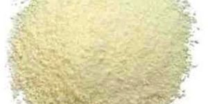 Demineralized Whey Powder