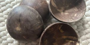 Coconut Shell Halves