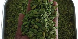 Green Cardamom