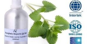 Catnip Essential Oil