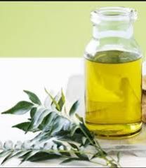 Curry Leaf Oil