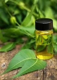 Neem Seed Oil