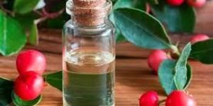 Winter Cherry Oil