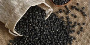 Whole Urad
