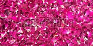 Dry Rose Petals