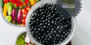 Black Bentonite Granules