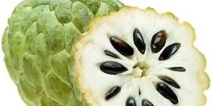 Fresh Custard Apple