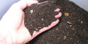 Vermicompost Fertilizer