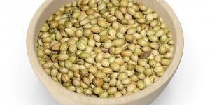 Coriander Seeds