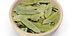 Dry Senna Leaves