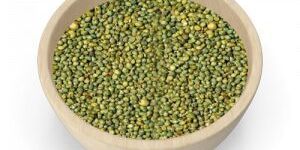 Green Millet Seeds