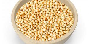 Milky White Sorghum Seeds