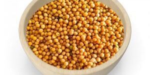 Yellow Mustard Seeds