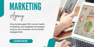 Website Design and Development Services