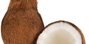 Coconut