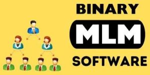 Binary Mlm Software Service