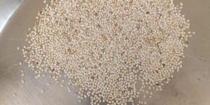 Organic Sesame Seeds - White