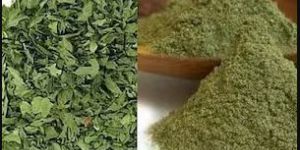 Dehydrated Kasuri Methi Powder