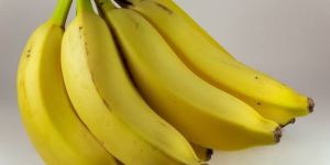 Fresh Green Cavendish Bananas