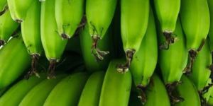 Raw Green Banana