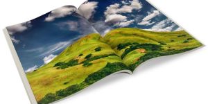 Brochure Printing Service