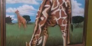 School Interior Designing Service