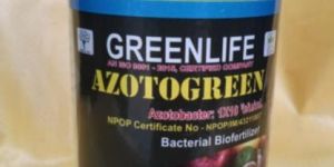 Azotobacter Biofertilizer