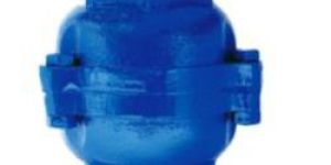 Screwed End Cast Iron Check Valve