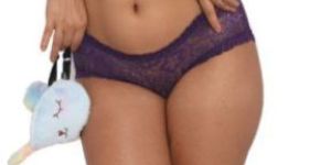 Spandex Lace Mid Waist Panty