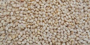 White Sesame Seeds