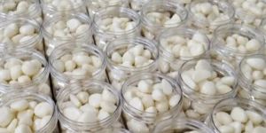 FS Fresh Peeled Garlic