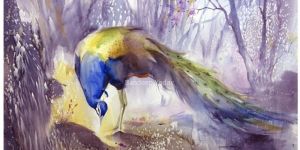 Nature & Beautiful Peacock Painting