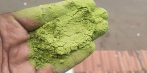 Organic Moringa Powder