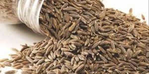 Cumin Seed
