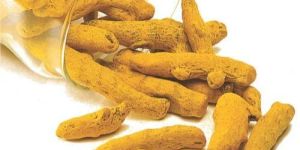 Double Polish Turmeric