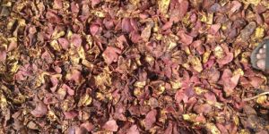 Dried Pomegranate Peel