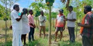 Organic Farming Consultancy