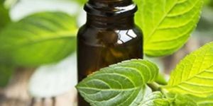 Peppermint Oil