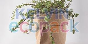 Jute Plant Grow Bag