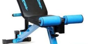 Adjustable Home Gym Bench