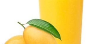 Totapuri Mango Concentrate